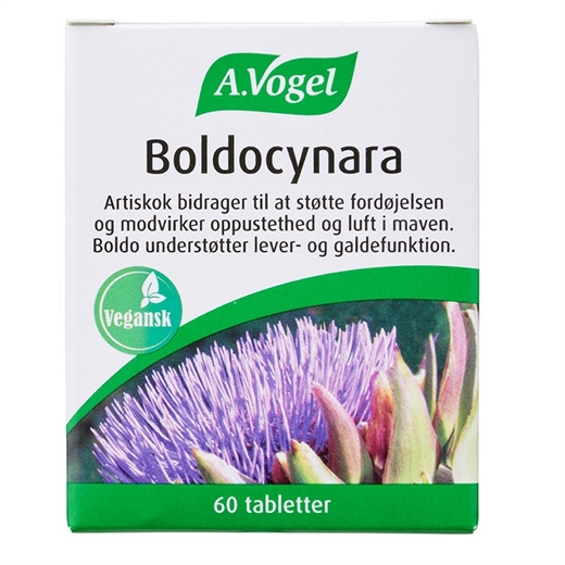 A.Vogel BoldocynaraS Ugleapo A.Vogel BoldocynaraS